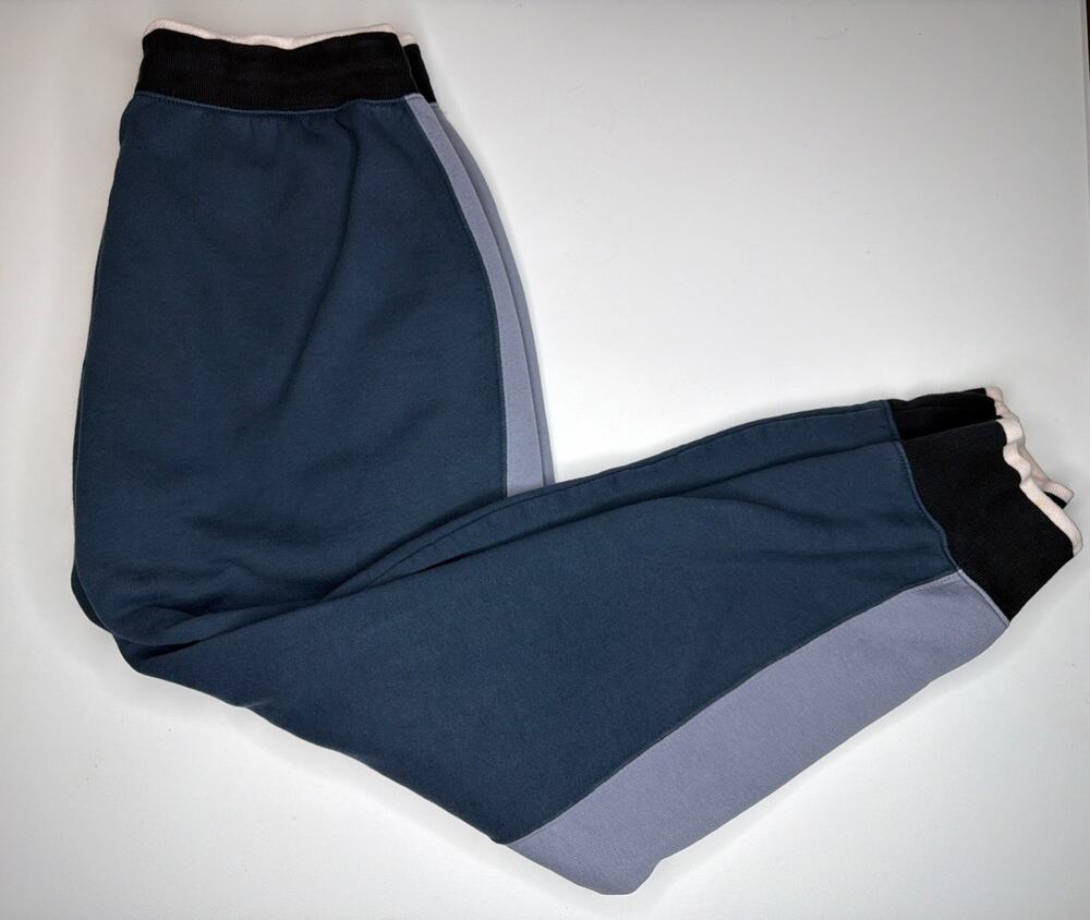 Nike Pants Womens Large Blue Sportswear Fleece Joggers Colorblock Aj7401-454